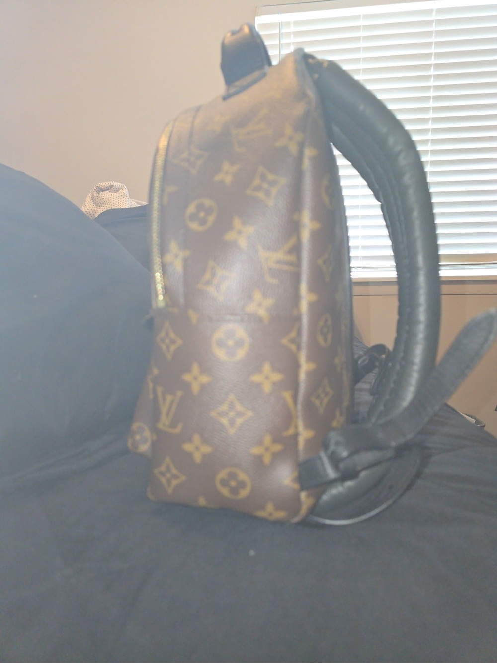AUTHENTIC Louis Vuitton Palm Springs PM Backpack! - Picture 5 of 8